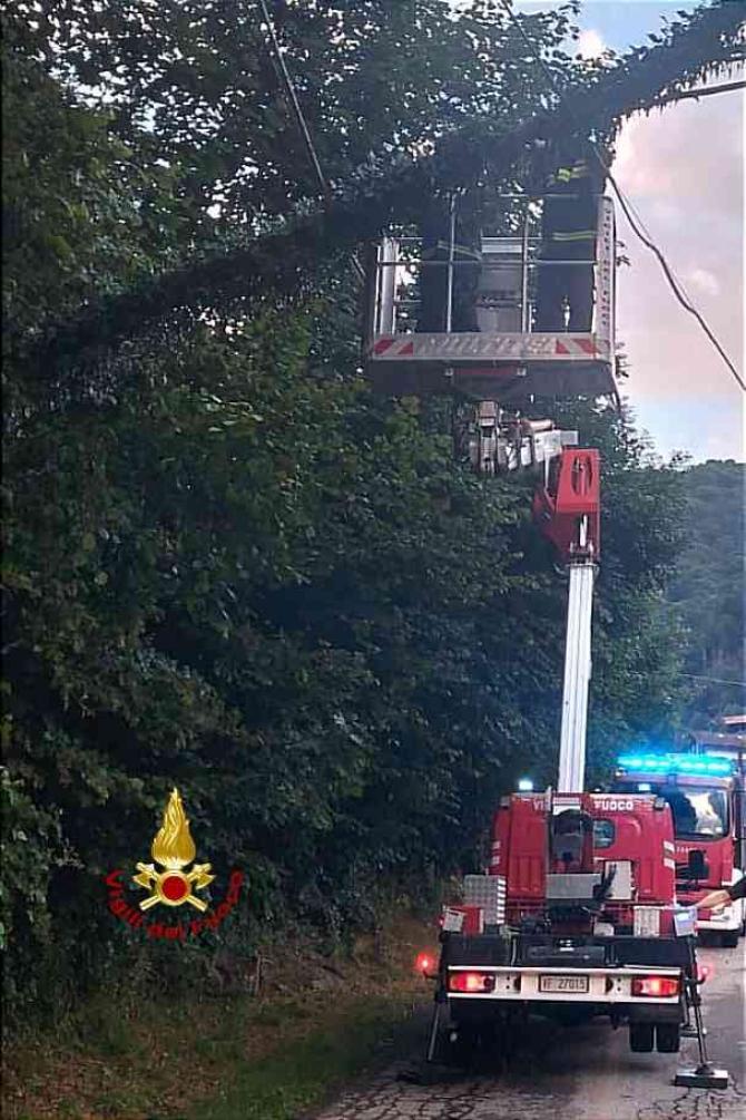 Vigili delfuoco