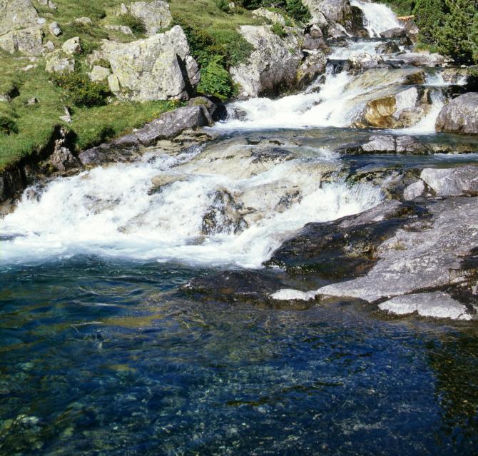 Fiume