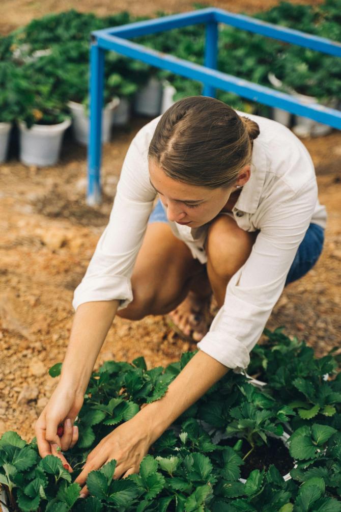Orto agricoltore