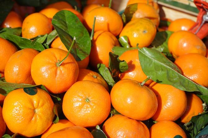 Clementine