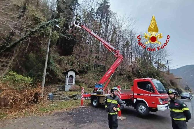 Alberi pericolanti Varallo