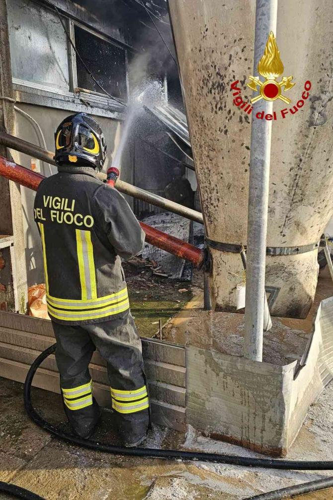 Incendio Lamporo