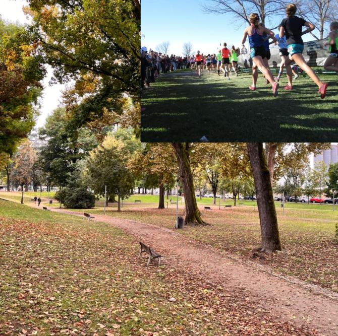Cross parco Kennedy