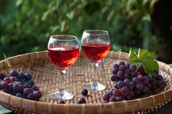 Vino