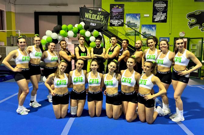 Wildcats superior