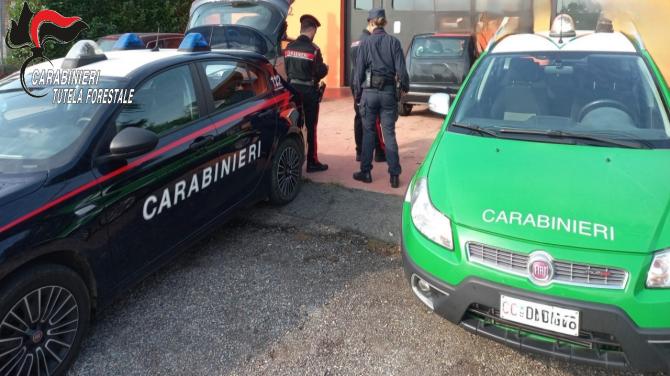 Carabinieri e forestali