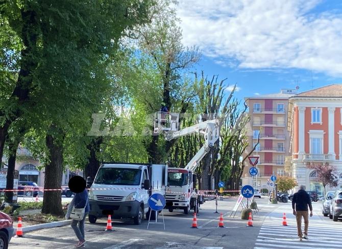Vercelli viale Garibaldi