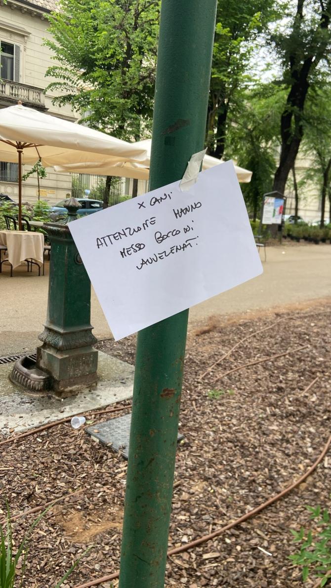 Bocconi avvelenati viale Garibaldi
