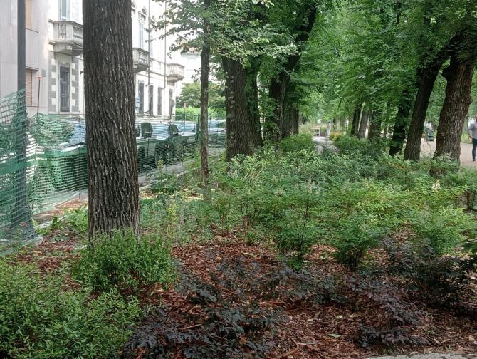 Viale Garibaldi