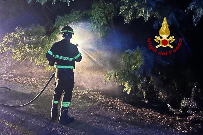 Vigili del fuoco sterpaglie in corso Rigola Vercelli