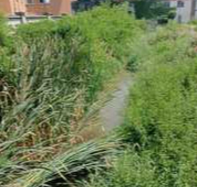 Roggia di via Legnano subito da ripulire