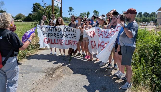Arborio protesta contro allevamento galline ovaiole