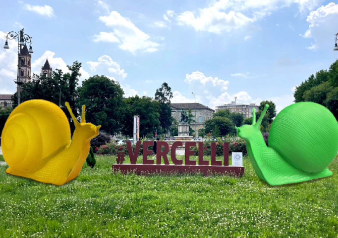 Vercelli artenatura