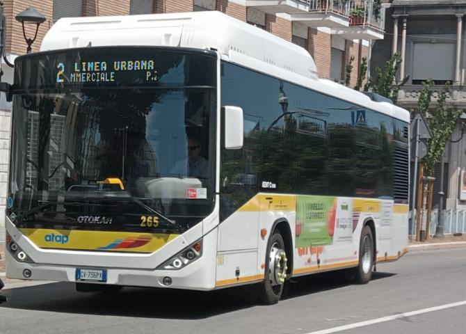I controlli e le multe per chi non paga il ticket