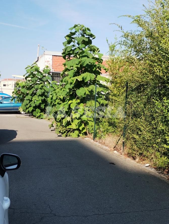 Corso Gastaldi