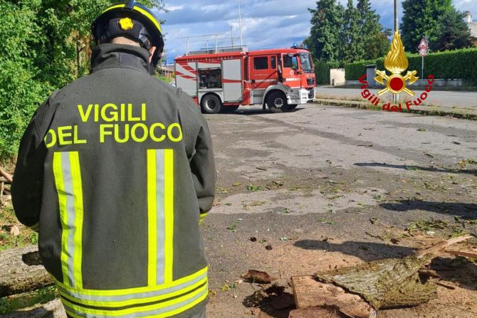 Cade un albero al Rione Concordia
