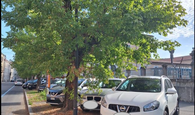 Quei rami degli alberi che "baciano" le auto
