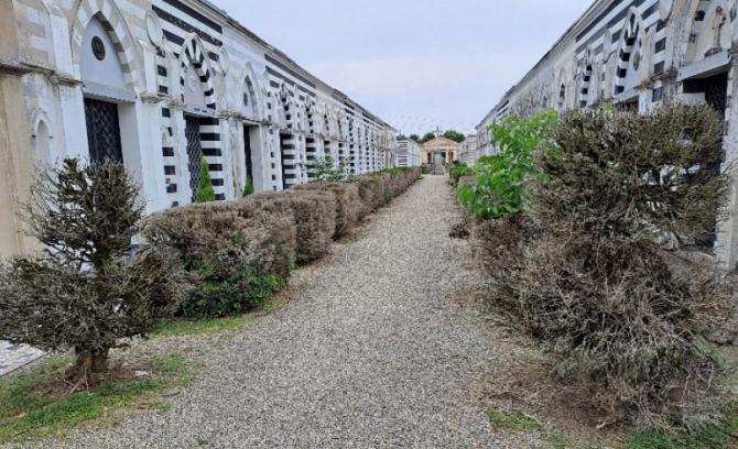 Al cimitero erbacce, disordine e incuria