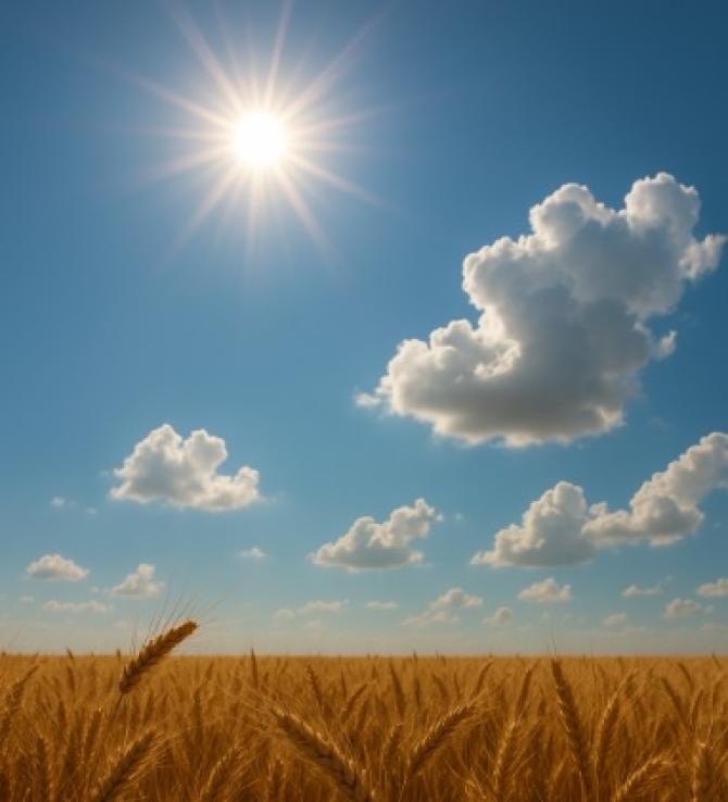 Sarà una settimana severa... di caldo