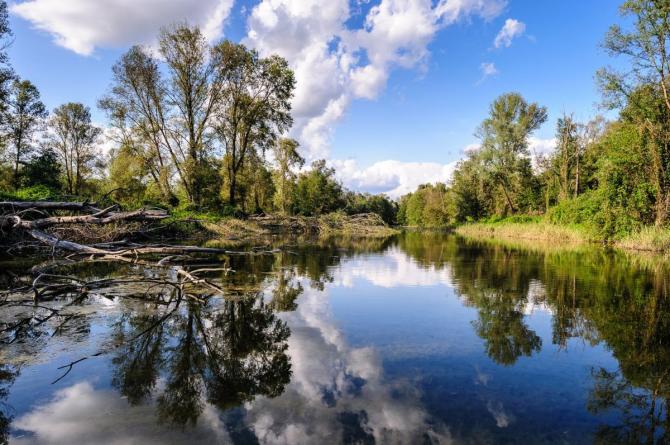 500.000 euro per la biodiversità: finanziato il nuovo progetto del Parco delle Lame del Sesia