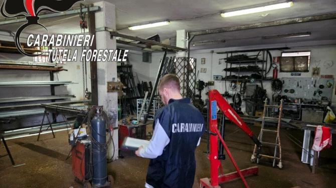Carabinieri forestali Novara