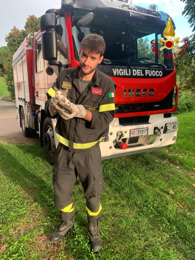 Vigili del fuoco di Biella