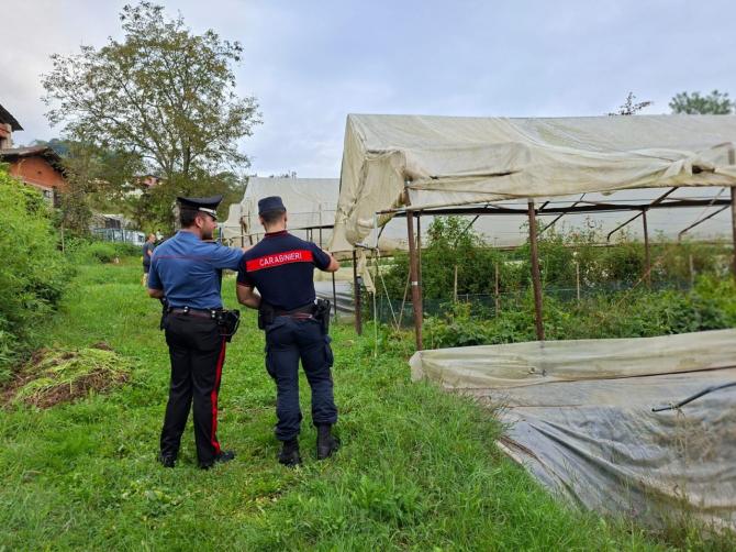 Carabinieri tutela lavoro