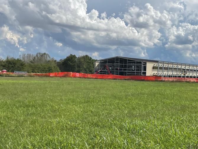 Arborio, allevamento intensivo galline