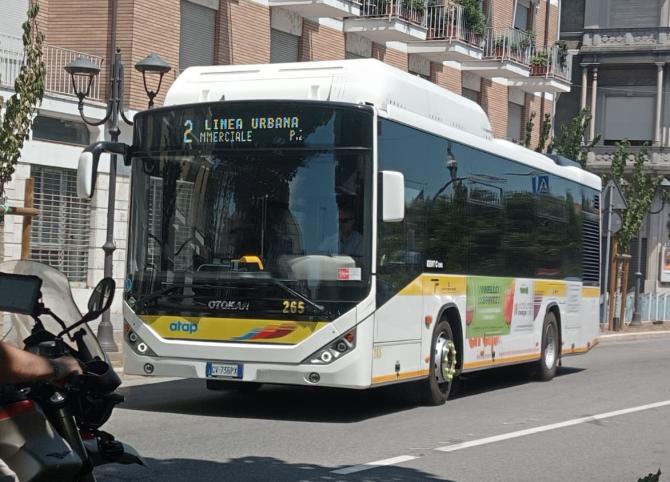 Atap autobus