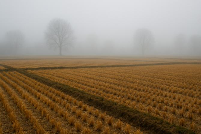 Nebbia e qualche pioggia e freddo nel fine settimana