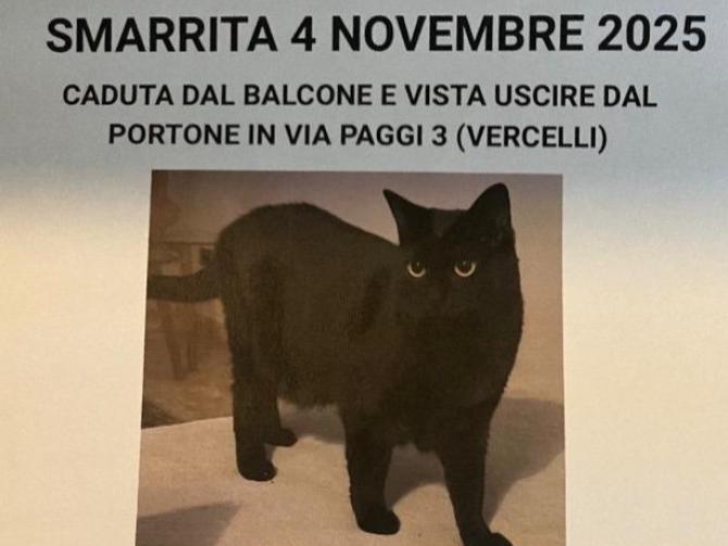 Vercelli: cercasi disperatamente Luce