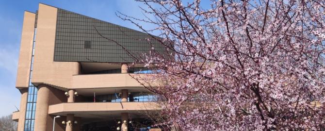 Cirte d'appello di Torino