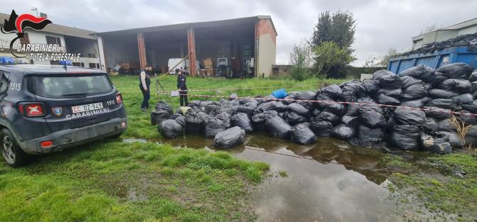 Carabinieri forestali