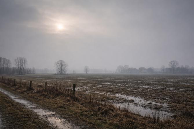 Cielo grigio, sole pallido e temperature attorno ai 6 gradi