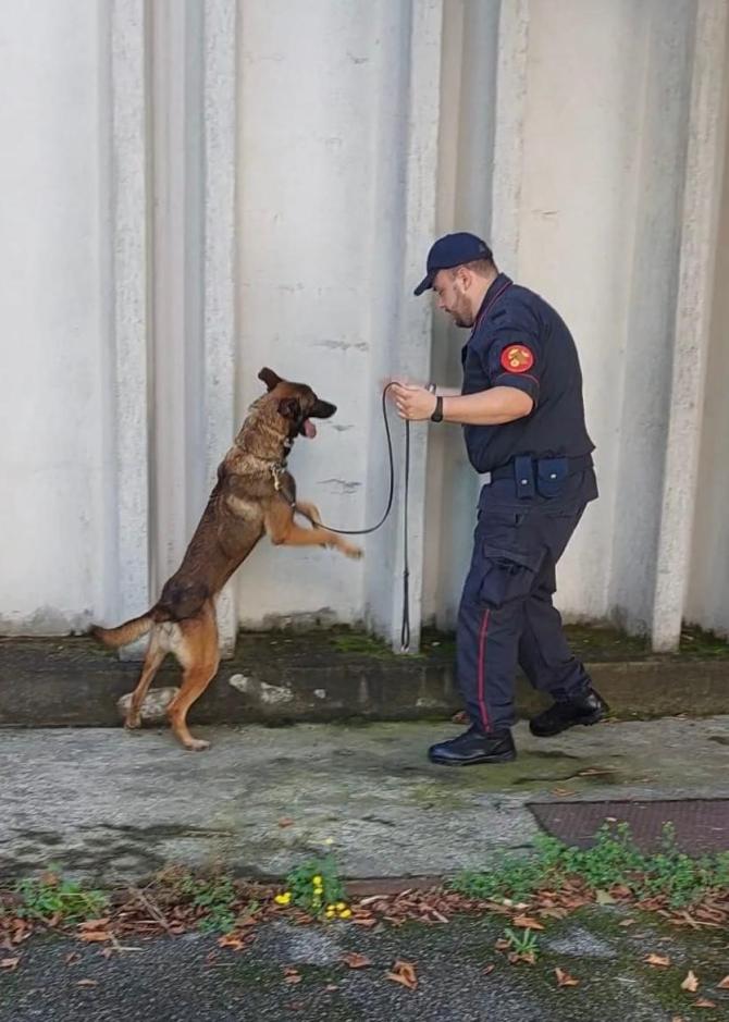 Unit&agrave; cinofila Volpiano