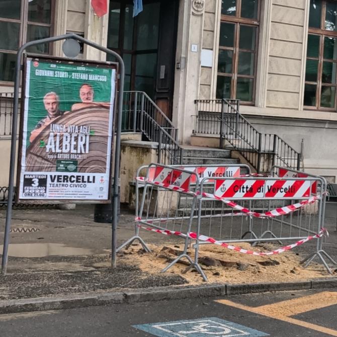 Lunga vita agli alberi, tranne che a uno