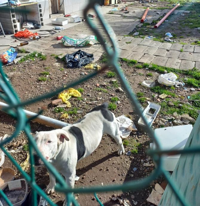 Cagnette frazione vercelli