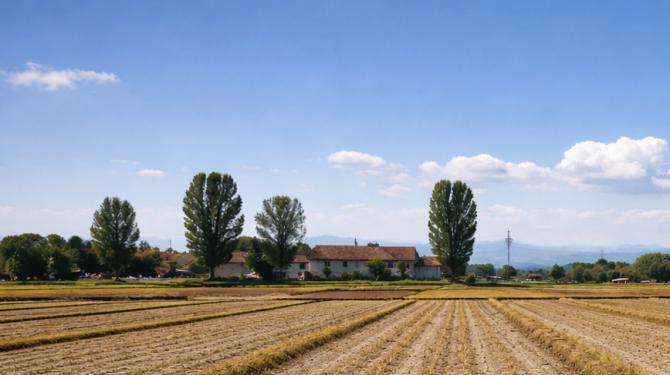 Arriva il bel tempo in tutto il vercellese