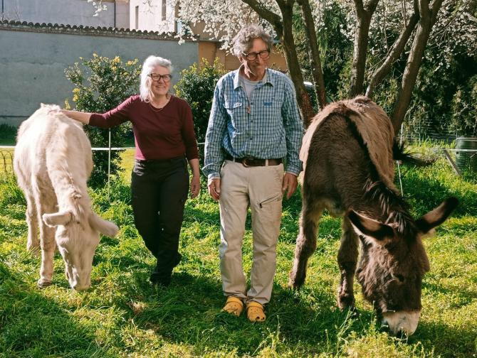 Sugli asini, dalla Svizzera a Roma passando da Vercelli