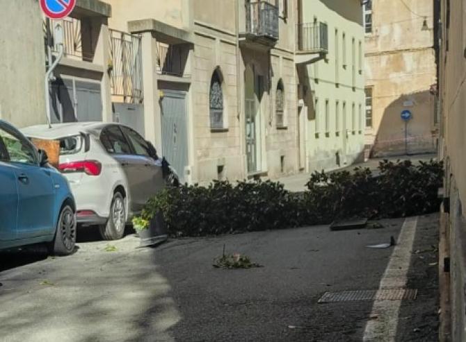 Fioriere sopra un'auto a Vercelli per il vento