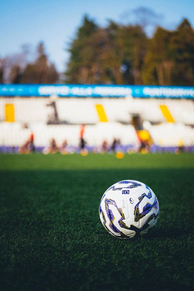 Pro Vercelli pallone