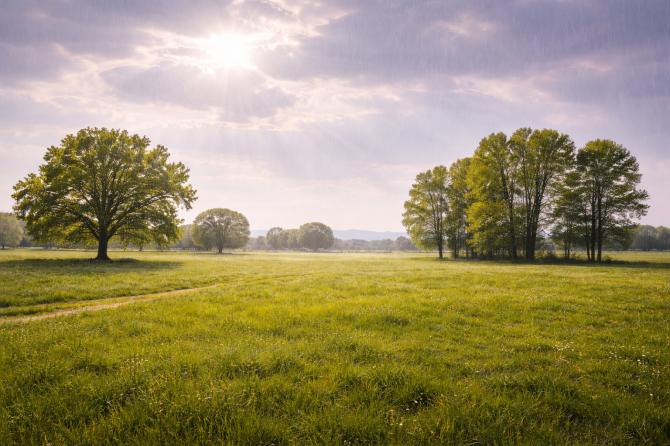 Sole e qualche pioggia tutta la settimana , temperature fresche la sera e gradevoli il giorno