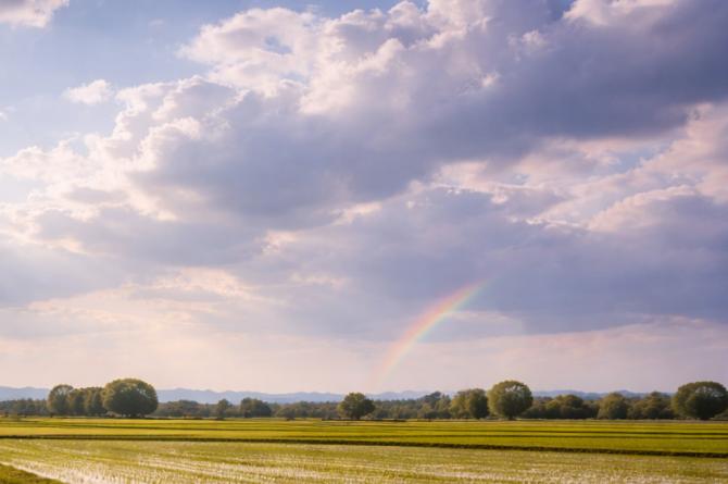Siamo in primavera, ma ancora qualche capriccio