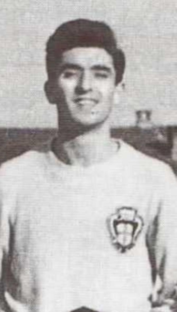 Mussino Domenico