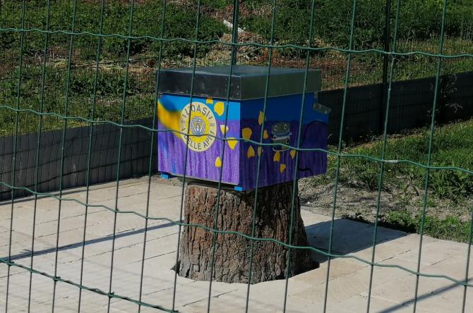 Oasi delle api