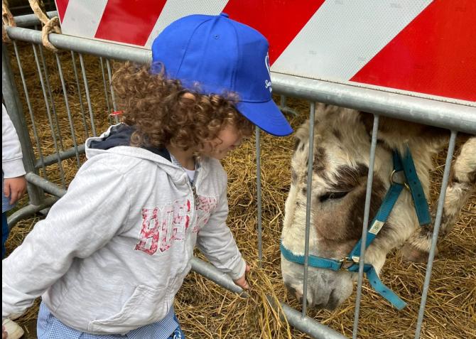I bambini visitano gli ospiti della Fattoria in Città