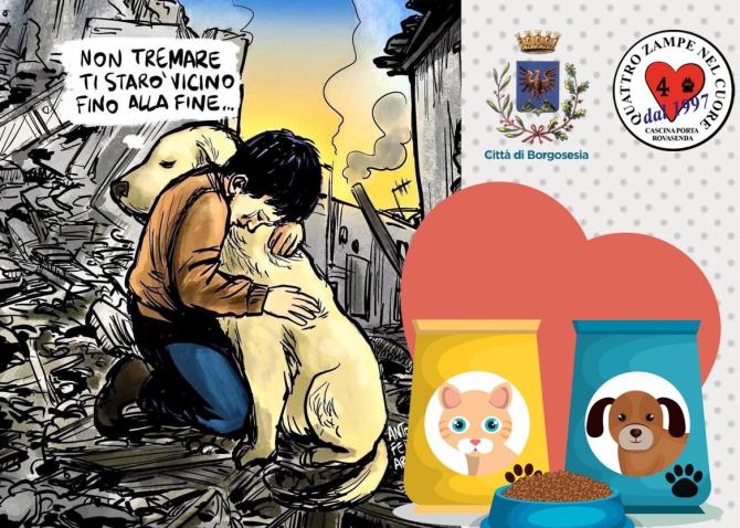 Raccolta cibo per gli animali rimasti sotto le bombe in Ucraina