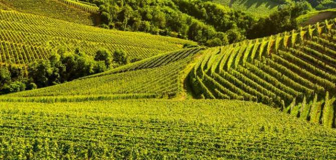 colline piemontesi