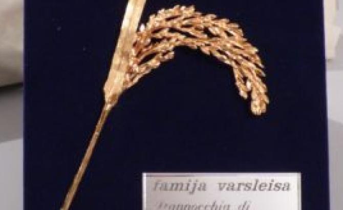 Famija Varsleisa