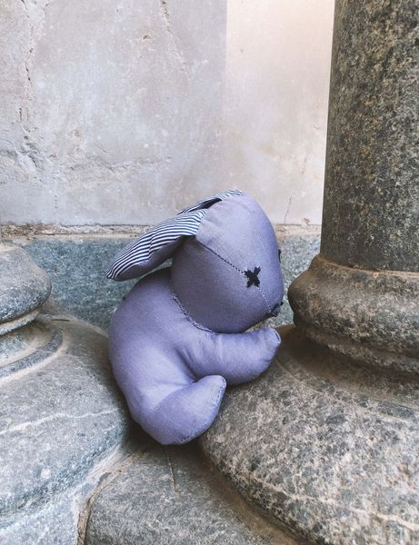 Brein Bunny